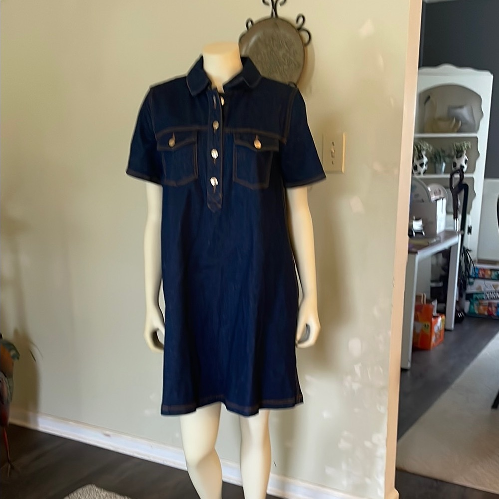 Stylish Blue denim dress